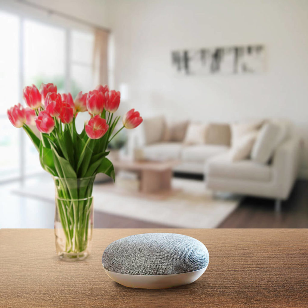 google home