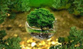 7 conseils pour une maison plus écologique