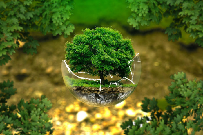 protection de l environnement