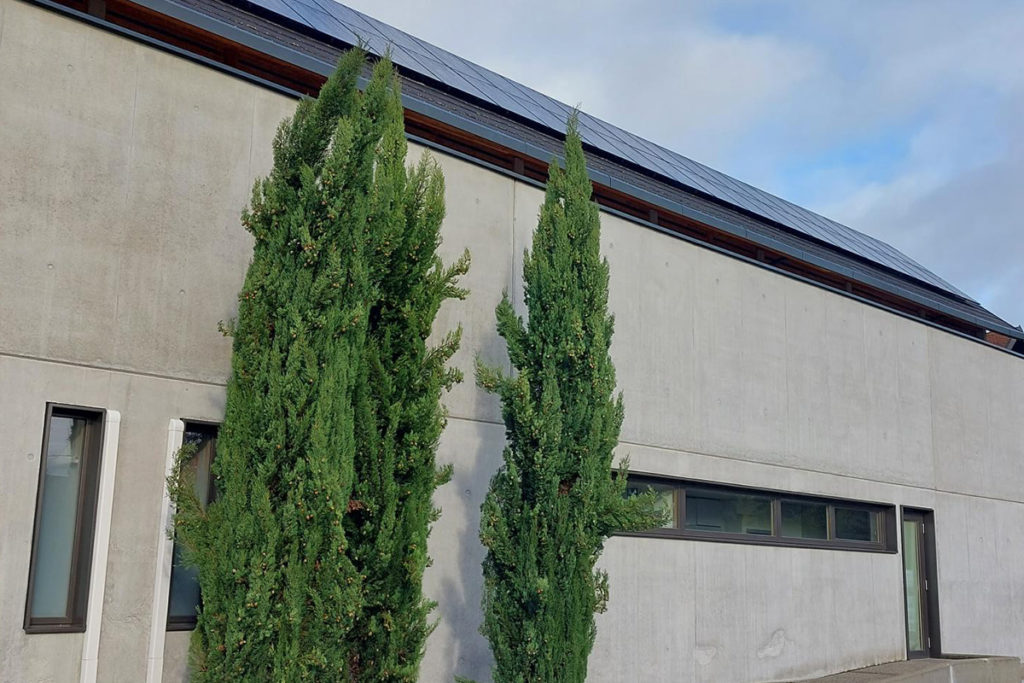 solution solaire entreprise en auvergne